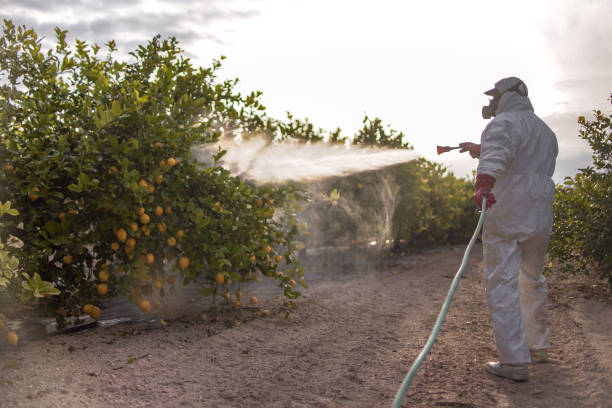 Best Pest Removal Services  in Madisonville, TX