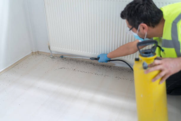 Best Mosquito Control Services  in Madisonville, TX